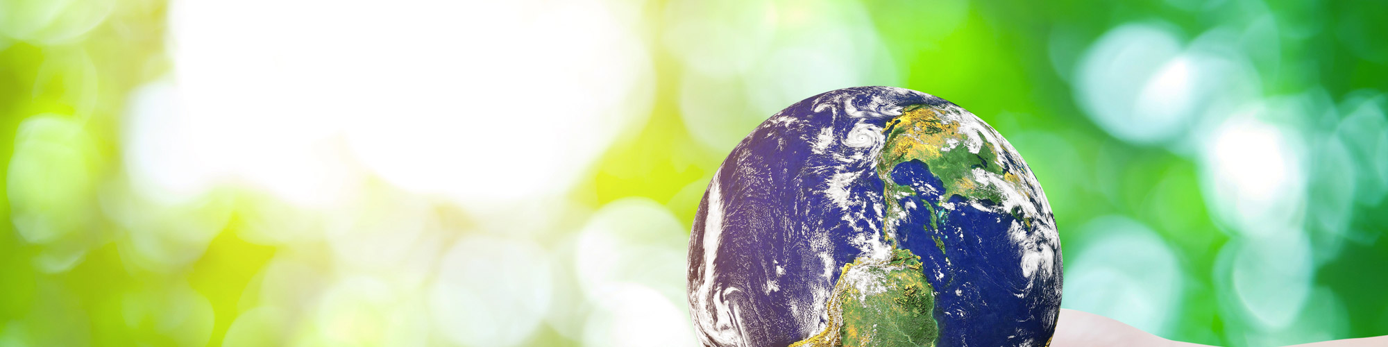 イメージ イメージ